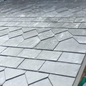 IMG_0410 2 IMG_0410 2